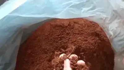 Pó de coco para substrato da Carve Substratos